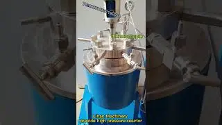 Lab stainless steel high pressure autoclave reactor