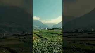 la Hortaliza de Am&eacute;rica Almolonga 🥕🥦 Tierra de las verduras