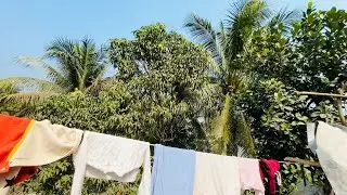 আম্মুর ছাদ বাগানের তাজা সবজি