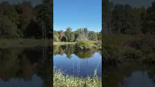 #music #metal #rock #nature #outdoors #youtubeshorts #trails #hiking #adventure