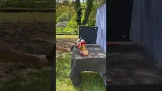 Ballistic dummy vs viking sax sword #ballisticdummy