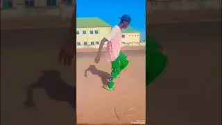 Larry tee doler milo lil gazi