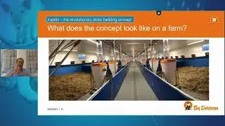 Xaletto a revolutioary straw bedding concept   Pig and Poultry 12 May 2021