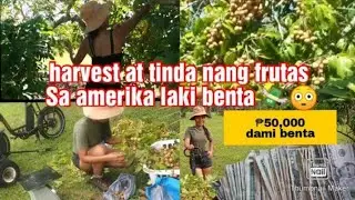 🍀 Жизнь филиппинок во Флориде, США ❣️ Американская жизнь