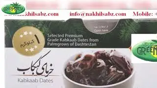 Iranian Kabkab Date for Export (info@nakhilsabz.com)