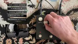 PedalPCB: Parentheses- EQD Life Pedal Clone