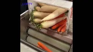 Potato Peeling Machine Industrial--Roller Vegatable Cleaner