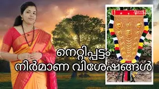 ഒരു നെറ്റിപ്പട്ടം വ്ലോഗ് 😂