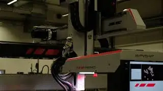 Wemo Pick-Vision Solution