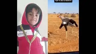 Wow 😲 Wow youtube shorts ,😂🤣😂#funny 