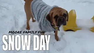 Snow Day | Moore Family Fun In The Snow | Day In The Life