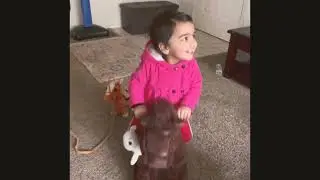 Unboxing Kids Rocking Horse | Baby fun videos | Rock and ride | Best Baby toys