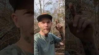 SEE MORE DEER USING THIS HACK!! #trailcamera #gamecamera #deer #tips #hunting #hack #buck #florida