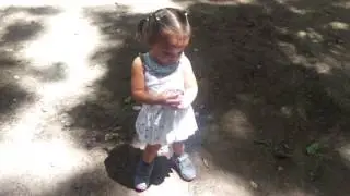 VIDEO0251