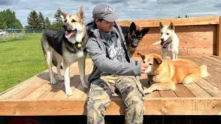Private Off-Leash Dog Park | Park N Bark | Country Club Pet Resort | Calgary, Alberta