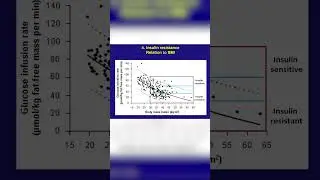 Robert Lustig: Is there a cause and effect between obesity, high BMI and insulin resistance??