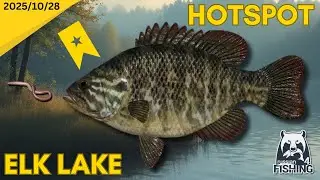 Warmouth and Crappie Hotspot - Russian Fishing 4