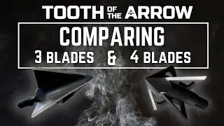 Comparing 3 blade and 4 blade broadheads!