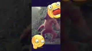 funny gorilla dance #shorts #charliebriz