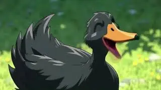 Duckheadvideo
