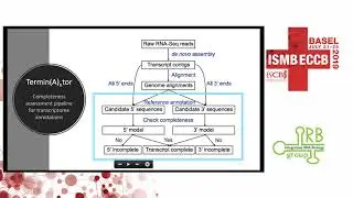 Is this the &ldquo;end&rdquo;? Termin(A)ntor: Transcriptome annotation... - Chen Yang - IRB - ISMB/ECCB 2019