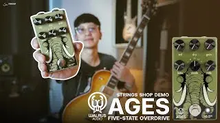 STRINGS DEMO TEST | Walrus Audio 'AGES' Five-State Overdrive (with แรก #LEMONY)