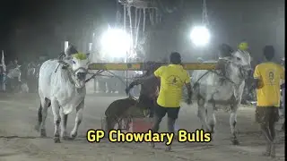బయ్యవరం న్యూ కేటగిరి 2🏆 విజేత GP. Chowdary Bulls గూడవల్లి లక్ష్మీ దీక్షిత చౌదరి గారి గిత్తలు 4627.10
