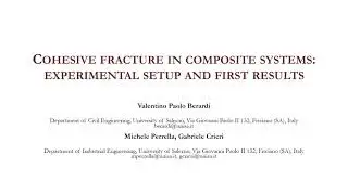 Cohesive fracture in composite systems: experimental setup and first results