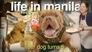 Sarge Turns 5 🎂 | Our Dog&rsquo;s Birthday in Manila