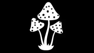 ToxicLOADER | Phase update, TOR CryptoMiner, FUD, with new RemoteAccessUI and Network Stress Testing