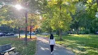 Vivre à Montréal  🐿️ : avantages & inconvénients 🍁