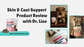 Skin & Coat Support Product Review - with Dr. Liao at Wellnergy Pets