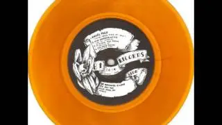 The Unpatriotics - 02. By My Enemies - N.O.P. records / 8^ Records Vinyl Comp - NOP004