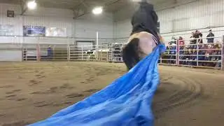 2017 RHR Colt Starting Challenge Grand Champion