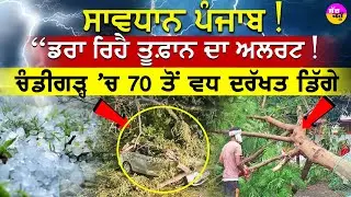 ਚੰਡੀਗੜ੍ਹ ’ਚ ਮੌਸਮ ਦਾ ਕਹਿਰ | Chandigarh Weather |  Dense Fog Alert |  Cold Wave Chandigarh