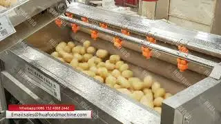 Automatic Potato Washing And Peeling Machine For Root Vegetable Cleaning