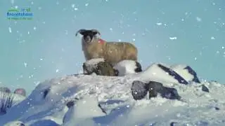 Come, Visit Broughshane & The Braid Valley This Winter