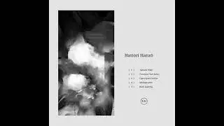 Hattori Hanzō - Open Space Design [MM003]