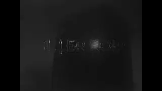 Alter Noir - Damaged