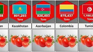 Tomato Production by Country 2024