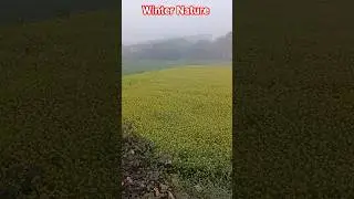 beautiful winter Nature