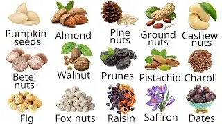 English Vocabulary | Common English Words | 20 Dry Fruits Names in English | Nuts  And Seeds Name