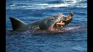 SHARK ATTACK in stranded deep