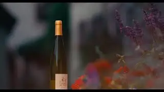 #3 Packshot Vid&eacute;o : Cuv&eacute;e Le veilleur de nuit - CAVE DE TURCKHEIM