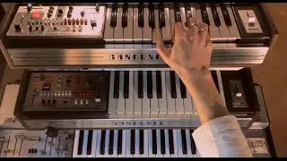 VAI 49 Elgam Carousel - Farfisa Syntorchestra
