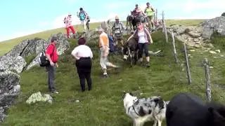 Eselwanderung 2015