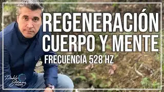 528 Hz. Regeneraci&oacute;n cuerpo y mente / Pablo G&oacute;mez psiquiatra