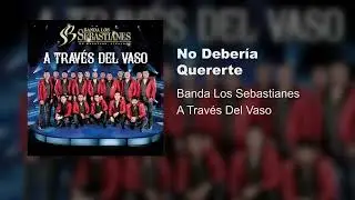 Banda Los Sebastianes De Sa&uacute;l Plata - No Deber&iacute;a Quererte (Audio)