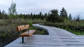 Burns Bog Delta Nature Reserve Walk・4K HDR