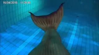 My first time as a mermaid!